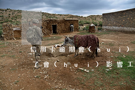 信用卡逾期會(huì)影響到工作嗎(逾期了會(huì)影響工作嗎)