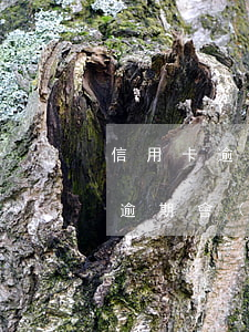 信用卡逾期會(huì)影響到房貸(信用卡逾期會(huì)影響到房貸利率嗎?)