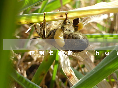 信用卡逾期會(huì)影響到按揭房嗎