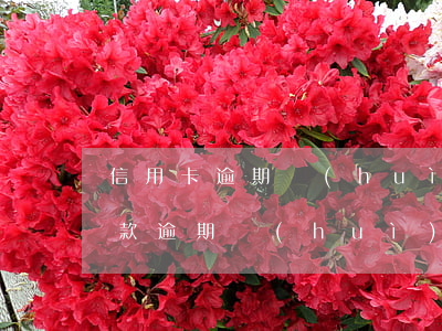 信用卡逾期會(huì)影響匯款么(其他貸款逾期會(huì)影響信用卡)
