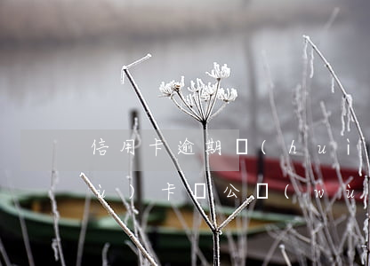 信用卡逾期會(huì)影響單位公務(wù)卡嗎(公務(wù)員信用卡逾期會(huì)有什么影響)