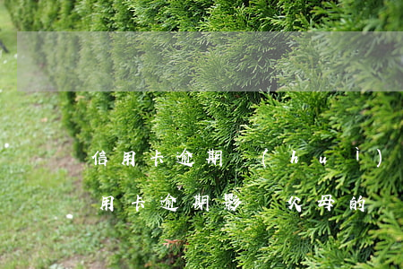 信用卡逾期會(huì)影響女兒(女兒的信用卡逾期影響父母的貸款申請(qǐng)嘛)
