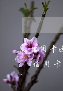信用卡逾期會(huì)影響孩子什么工作(信用卡逾期會(huì)影響孩子什么工作)