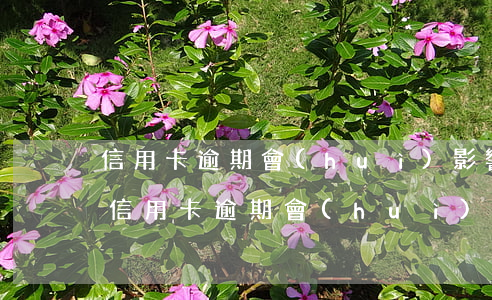 信用卡逾期會(huì)影響孩子以后嗎-信用卡逾期會(huì)影響孩子以后嗎政審嗎