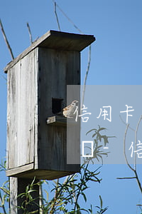 信用卡逾期會(huì)影響孩子軍校政審嗎-信用卡逾期會(huì)影響孩子軍校政審嗎知乎