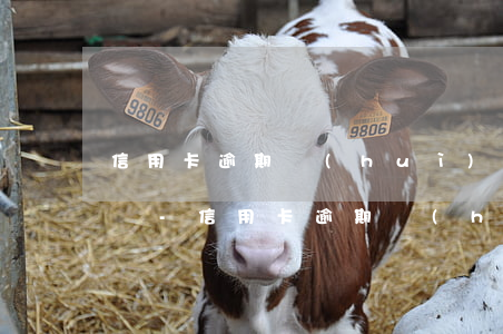 信用卡逾期會(huì)影響征信多久的記錄-信用卡逾期會(huì)影響征信多久的記錄呢