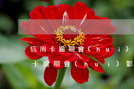 信用卡逾期會(huì)影響微粒貸6(信用卡逾期會(huì)影響微粒貸使用么)