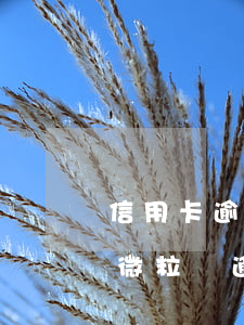 信用卡逾期會(huì)影響微粒貸額度嗎(微粒貸逾期會(huì)不會(huì)影響信用卡)