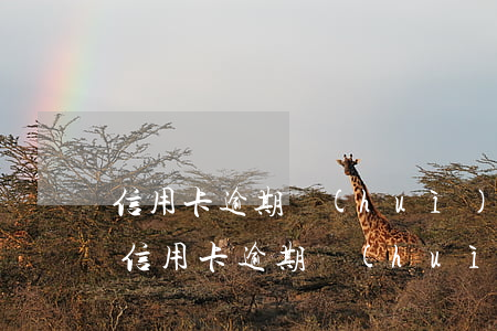 信用卡逾期會(huì)影響愛人的征信嗎（信用卡逾期會(huì)影響愛人）