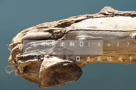 信用卡逾期會(huì)影響我的工資卡嗎 因拖欠工資造成信用卡逾期
