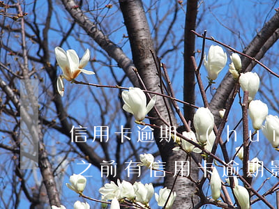 信用卡逾期會(huì)影響房貸按揭嗎-之前有信用卡逾期影響房貸嗎