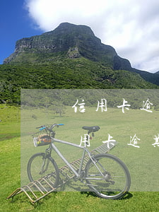 信用卡逾期會(huì)影響注冊法人么(信用卡逾期會(huì)影響注冊法人么嗎)