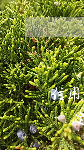 信用卡逾期會(huì)影響深圳落戶嗎a-逾期影響入深戶嗎