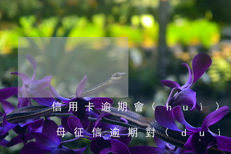 信用卡逾期會(huì)影響父母征信么(父母征信逾期對(duì)子女有什么影響)
