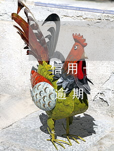信用卡逾期會(huì)影響花唄嗎(信用卡逾期會(huì)影響花唄嗎)