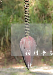 信用卡逾期會(huì)影響貧困戶可以貸款嗎-信用卡逾期會(huì)影響貧困戶可以貸款嗎知乎