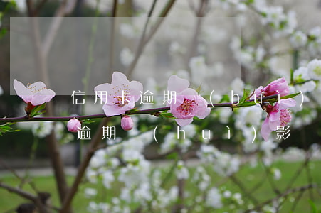 信用卡逾期會(huì)影響贖樓嗎(信用卡逾期會(huì)影響贖樓嗎)