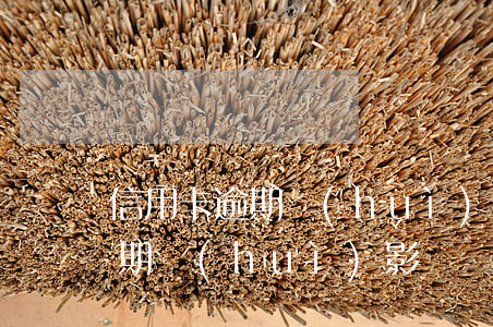 信用卡逾期會(huì)影響車貸(信用卡逾期會(huì)影響車貸)