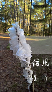 信用卡逾期會(huì)影響辦城鄉(xiāng)一卡通嗎-信用逾期影響辦銀行卡嗎