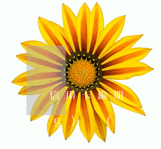 信用卡逾期會(huì)影響辦營(yíng)業(yè)執(zhí)照嗎(用營(yíng)業(yè)執(zhí)照辦理信用卡有影響嗎)