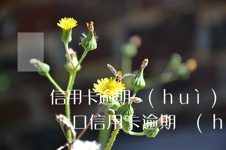 信用卡逾期會(huì)影響辦理深戶嗎 遷戶口信用卡逾期會(huì)有影響