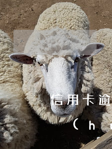 信用卡逾期會(huì)影響過(guò)戶(hù)嗎(信用卡逾期影響大嗎)