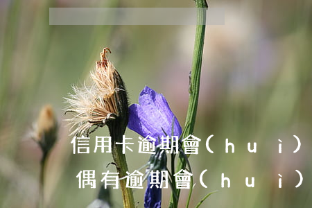 信用卡逾期會(huì)影響配偶貸款嗎(配偶有逾期會(huì)影響信用貸款嗎)