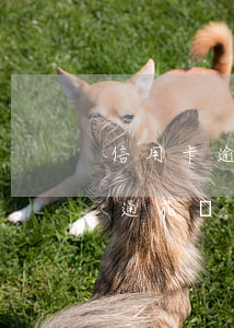 信用卡逾期會(huì)影響開(kāi)通花唄嗎(信用卡逾期會(huì)影響開(kāi)通花唄嗎貼吧)