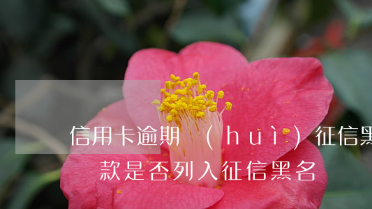 信用卡逾期會(huì)征信黑名單嗎(逾期還款是否列入征信黑名單)