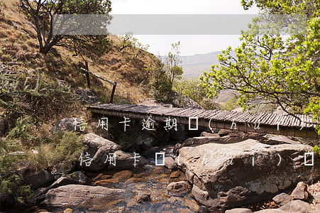 信用卡逾期會(huì)從借記卡里扣嗎(欠信用卡會(huì)從同行借記卡扣嗎)