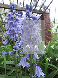 信用卡逾期會(huì)從新銀行卡卡扣款嗎-信用卡逾期會(huì)從新銀行卡卡扣款嗎怎么辦