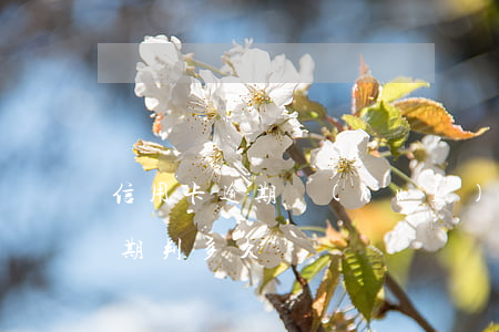 信用卡逾期會(huì)怎么判定(信用卡逾期判多久)