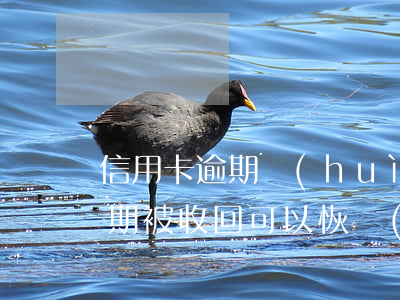 信用卡逾期會(huì)怎么收回(信用卡逾期被收回可以恢復(fù)嗎)