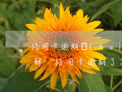 信用卡逾期會(huì)怎么樣該怎么辦詳解-信用卡 逾期了怎么辦