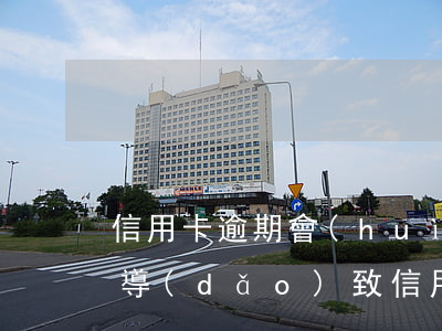 信用卡逾期會(huì)怎么處罰-被刑拘導(dǎo)致信用卡逾期怎么辦