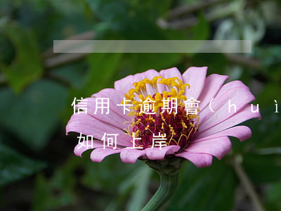 信用卡逾期會(huì)怎樣上岸(欠信用卡如何上岸)