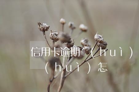 信用卡逾期會(huì)怎樣辦(信用卡逾期會(huì)怎樣辦嗎)