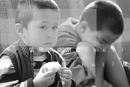 信用卡逾期會(huì)成為在逃犯嗎(信用卡逾期會(huì)成為在逃犯嗎)