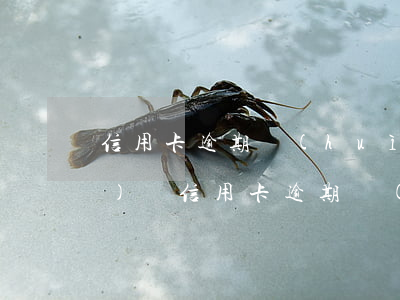 信用卡逾期會(huì)成為老賴(lài)嗎(信用卡逾期會(huì)變成老賴(lài)嗎)