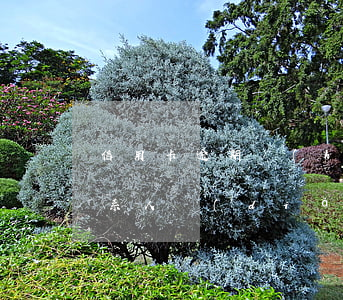 信用卡逾期會(huì)打聯(lián)系人點(diǎn)嗎(怎么找信用卡逾期的人)