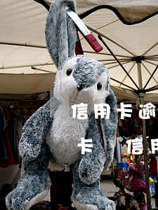 信用卡逾期會(huì)扣儲(chǔ)存卡嗎(信用卡逾期會(huì)不會(huì)在其他儲(chǔ)存卡里扣)