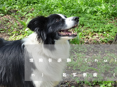 信用卡逾期會(huì)扣押房產(chǎn)嗎(名下有房產(chǎn)信用卡逾期受影響嗎)