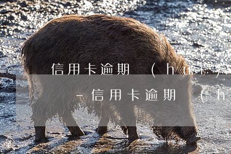 信用卡逾期會(huì)扣父母銀行卡的錢嗎-信用卡逾期會(huì)扣父母銀行卡的錢嗎怎么辦