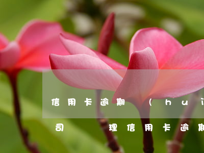信用卡逾期會(huì)找來(lái)公司嗎(處理信用卡逾期公司主要做什么的)