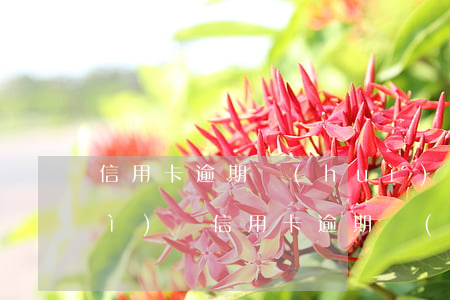 信用卡逾期會(huì)找刑偵大隊(duì)嗎(信用卡逾期會(huì)找刑偵大隊(duì)嗎)