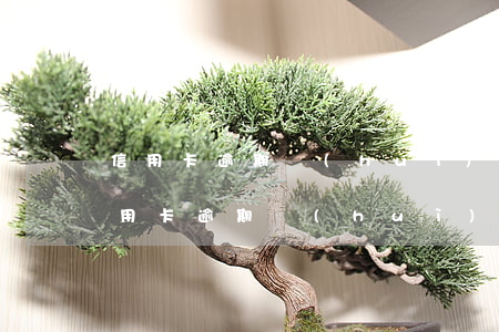 信用卡逾期會(huì)找到新的單位嗎(信用卡逾期會(huì)找到新的單位嗎)