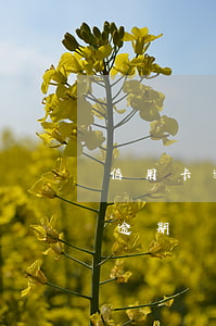 信用卡逾期會(huì)找到老家嗎(信用卡逾期會(huì)找家人嗎)