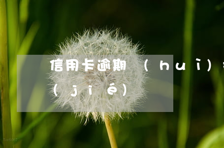 信用卡逾期會(huì)把所有銀行卡凍結(jié)嗎