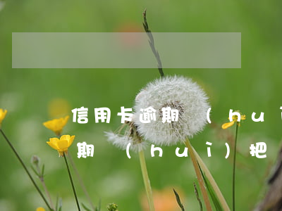 信用卡逾期會(huì)把車拖走嗎(車輛逾期會(huì)把車拖走嗎)
