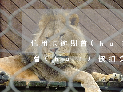 信用卡逾期會(huì)拍賣車嗎 欠信用卡會(huì)被拍賣房產(chǎn)嗎